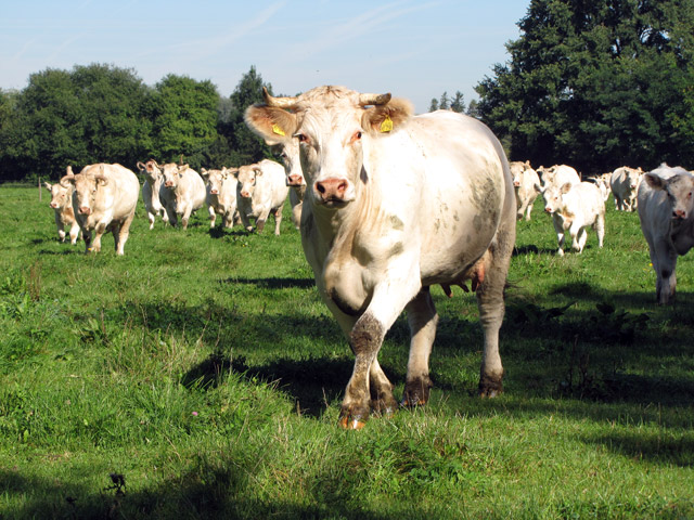 Zillerhof – Eindruck vom Hof